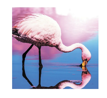 Штора д/ванной 180х200 ткань MZ-137 "Фламинго у озера"