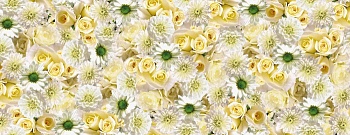 Клеенка н/о FLORISTA 1148/0 1,4x20м Турция