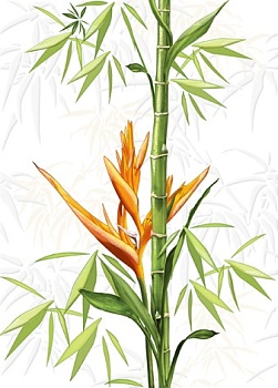 Декор Jungle белый 25х35 СЕRSАNIT 1