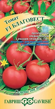 Томат Благовест Гав.