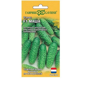 Огурец Маша Гавриш