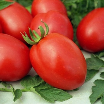 Томат Де Барао Ал.