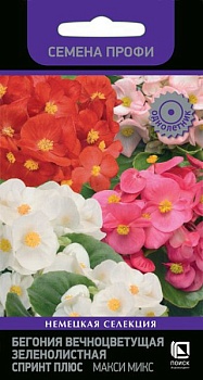 Бегония Спринт Плюс Макси Микс Поиск
