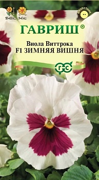 Виола Зимняя вишня Гавриш