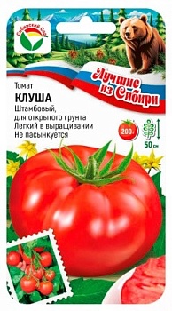 Томат Клуша Сиб. сад.