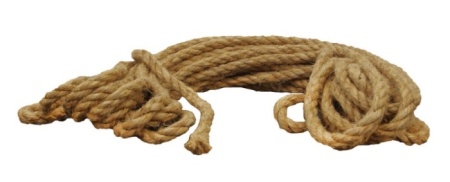 106