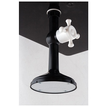 Лейка душевая для ЭВБО 55