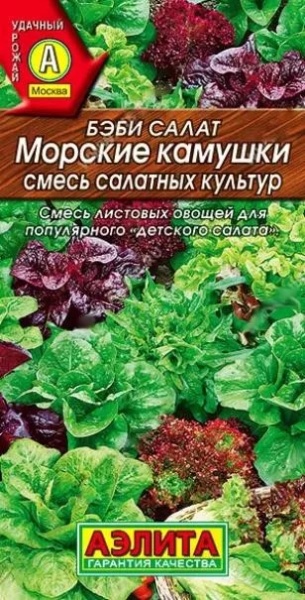 kdjx0mhfa55zn3y5haakcsixslw7bd3y