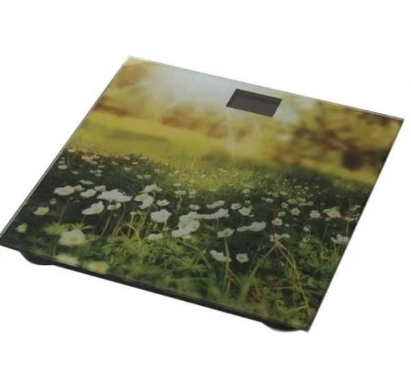 2. Весы напольные Добрыня DO-3006G Поляна