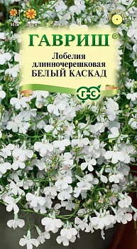 Лобелия  Белый каскад Гавриш
