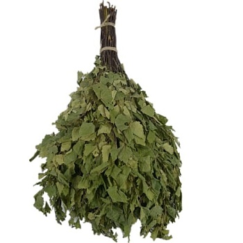 Веник БЕРЁЗОВЫЙ