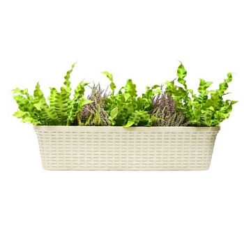 Ящик балконный VIOLET Ротанг белый, 60см, с дренажем,3560026