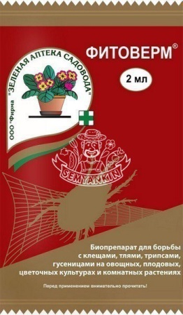 CBMnCUR5jdU