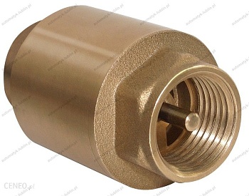 Клапан обратный REMSAN Ду 50