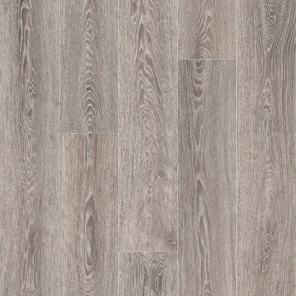 indian_oak_5_906d
