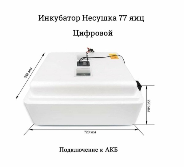 2. Инк.Несушка(76) 77я,авто,220-12В,аналог.терм