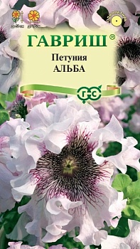 Петуния Альба барх. Гавриш