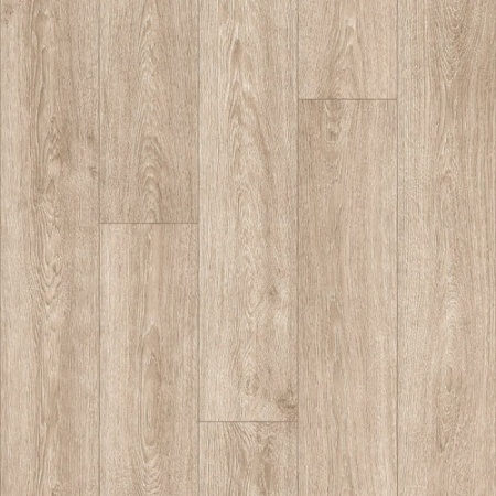 indian_oak_2_616m