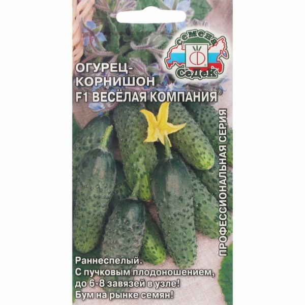 orig - 2026-02-05T155402.574