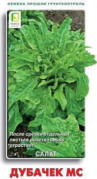 Салат Дубачек Поиск