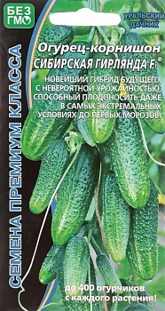 Огурец Сибирская герлянда УД