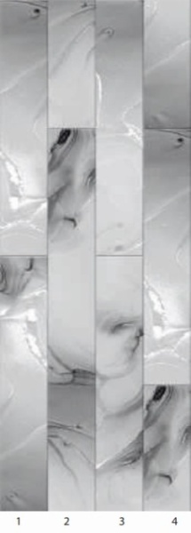bcec726127ce11ee847a1c1b0d9d03ab_b6b717c43aa611ee847c1c1b0d9d03ab