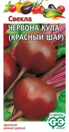 orig - 2026-02-09T084354.794