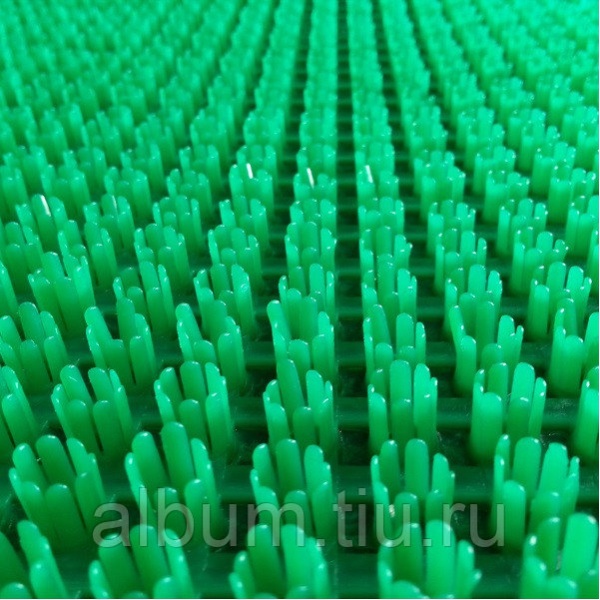 Щетинистое-зеленое