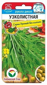 РуколаУзколистня Сиб.сад