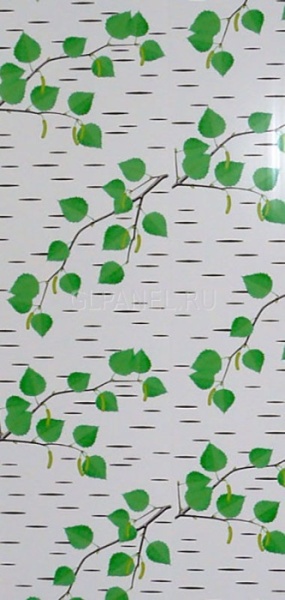 168-russkaya-berezka