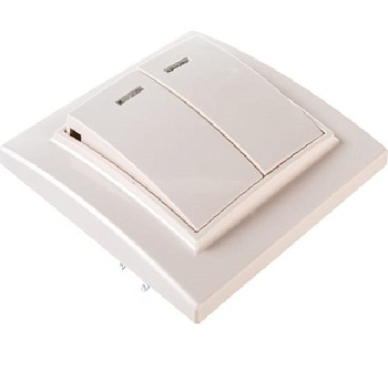 Выкл. 2кл СП 10А IP20 беж. EKF