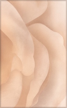 Декор М-КВАДРАТ Флер 3 розовый 25х40 Россия