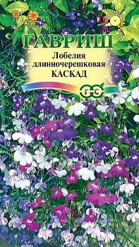 Лобелия каскад амп.Гавриш