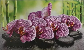 Панель ПВХ ГРЕЙС пано 1002*602 Орхидеи Ванда