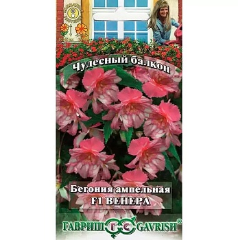 Бегония Венера амп.. гранул.Гавриш