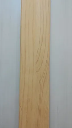 IMG-c847b7e42fe1fc345df6957ac39eb7bf-V