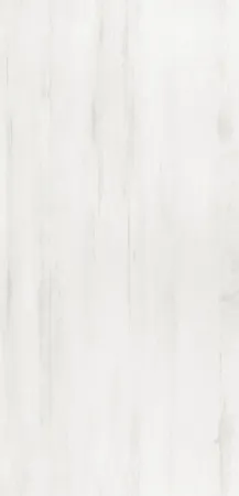 20Т009-1-Росток ФОН